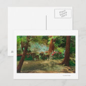 Uitzicht van een podium Coach tussen grote bomen Briefkaart (Voorkant / Achterkant)