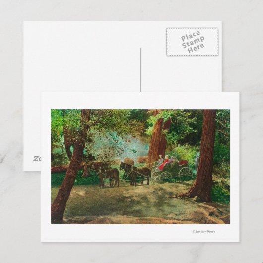 Uitzicht van een podium Coach tussen grote bomen Briefkaart (Voorkant / Achterkant)