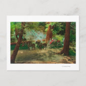 Uitzicht van een podium Coach tussen grote bomen Briefkaart (Voorkant)