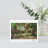 Uitzicht van een podium Coach tussen grote bomen Briefkaart (Staand voorkant)