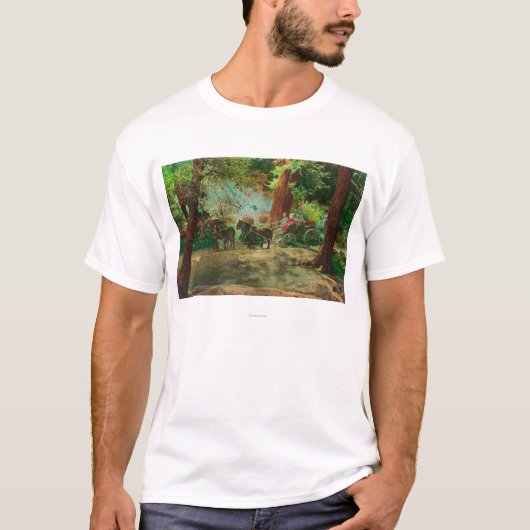 Uitzicht van een podium Coach tussen grote bomen T-shirt (Voorkant)