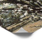 Uitzicht van een Prune Orchard van 300.000 bomen Poster (Hoek)