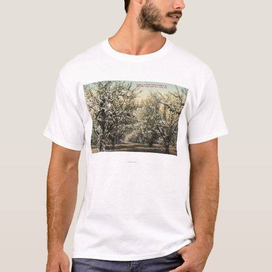 Uitzicht van een Prune Orchard van 300.000 bomen T-shirt (Voorkant)