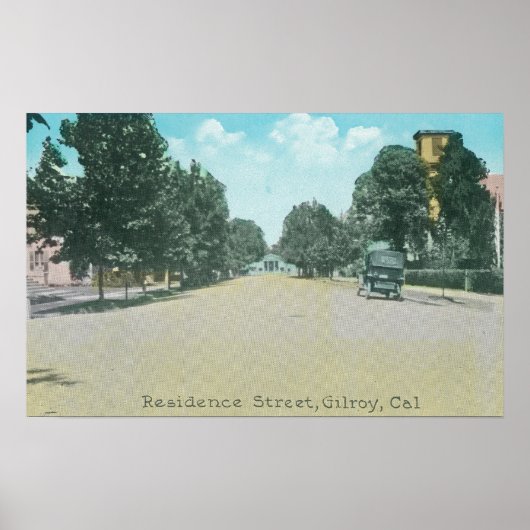 Uitzicht van een Residence StreetGilroy, CA Poster (Voorkant)
