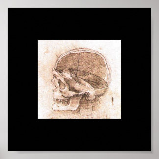 Uitzicht van een schedel door Leonardo Da Vinci ci Poster