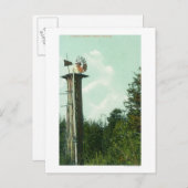 Uitzicht van een Sequoia Wind MillEureka, CA Briefkaart (Voorkant / Achterkant)