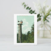 Uitzicht van een Sequoia Wind MillEureka, CA Briefkaart (Staand voorkant)