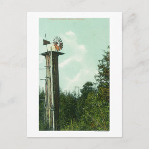 Uitzicht van een Sequoia Wind MillEureka, CA Briefkaart