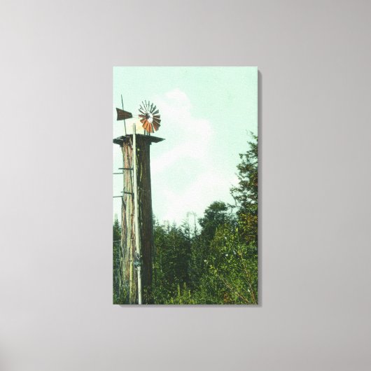 Uitzicht van een Sequoia Wind MillEureka, CA Canvas Afdruk (Voorkant)