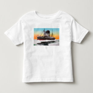 Uitzicht van een steamer in een ijskam kinder shirts