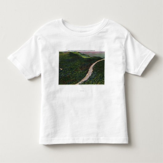 Uitzicht van een Steep Grade op Memorial Hwy Kinder Shirts (Voorkant)