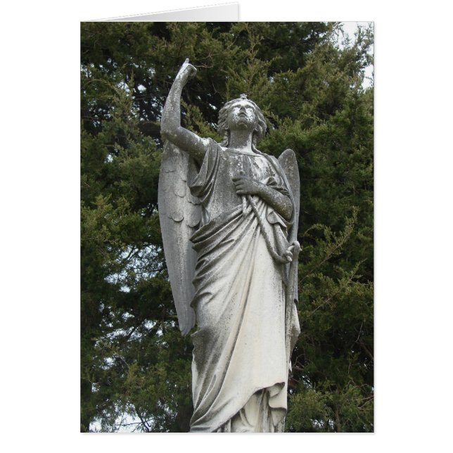 Uitzicht van een stenen engel (Voorkant)