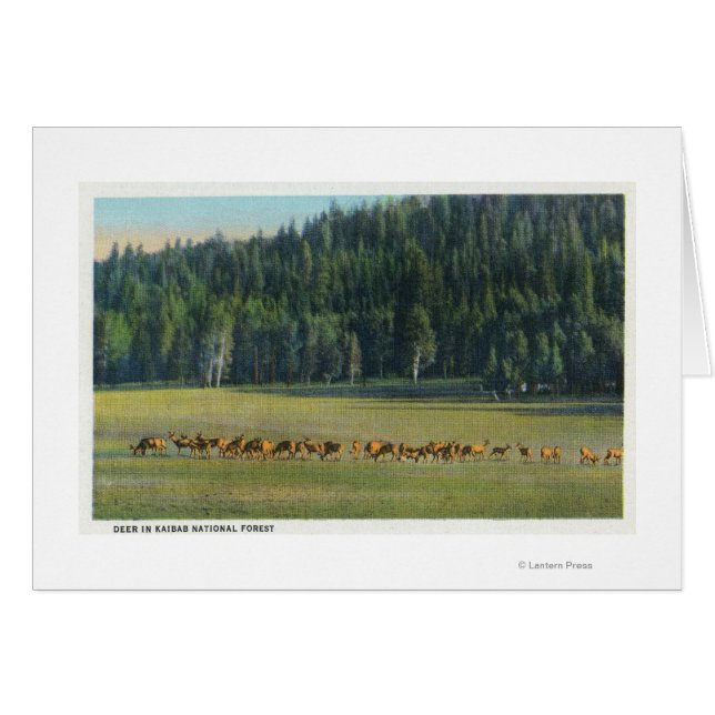 Uitzicht van een verpakking van Deer Grazing (Voorkant Horizontaal)