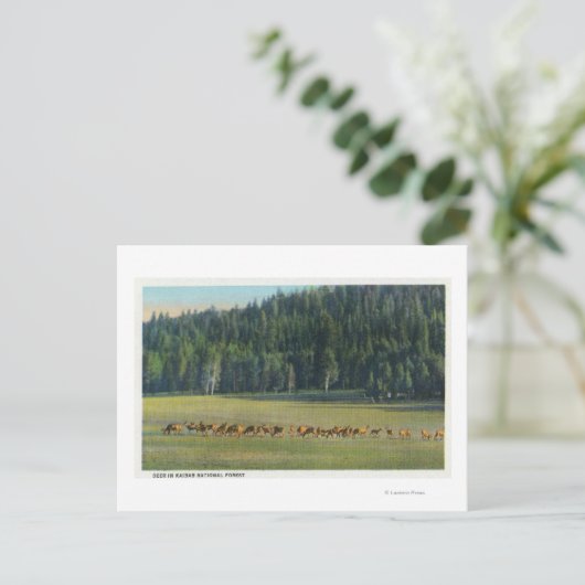 Uitzicht van een verpakking van Deer Grazing Briefkaart (Staand voorkant)