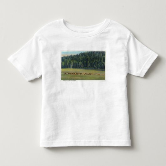 Uitzicht van een verpakking van Deer Grazing Kinder Shirts (Voorkant)