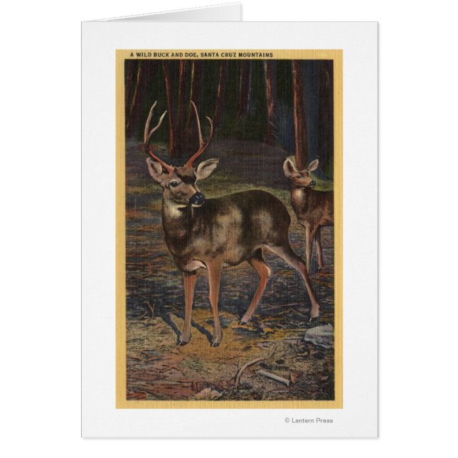 Uitzicht van een Wilde Buck & Doe (Voorkant)