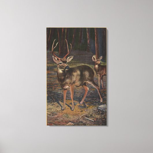 Uitzicht van een Wilde Buck & Doe Canvas Afdruk (Voorkant)