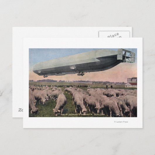 Uitzicht van een Zeppelin-blimp over graasschapen Briefkaart (Voorkant / Achterkant)