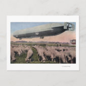 Uitzicht van een Zeppelin-blimp over graasschapen Briefkaart (Voorkant)