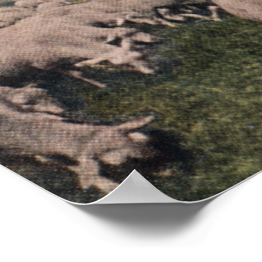 Uitzicht van een Zeppelin-blimp over graasschapen Poster (Hoek)