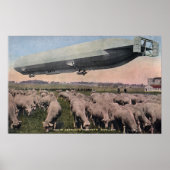 Uitzicht van een Zeppelin-blimp over graasschapen Poster (Voorkant)