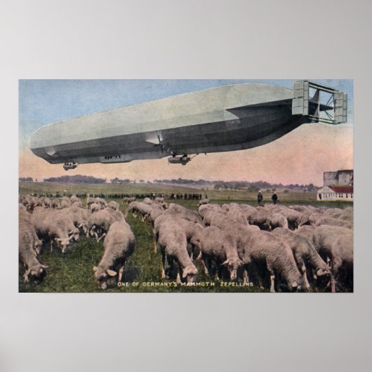 Uitzicht van een Zeppelin-blimp over graasschapen Poster (Voorkant)