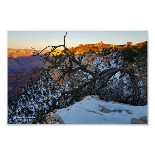Uitzicht van El Tovar hotel met uitzicht op Grand Foto Afdruk (Voorkant)