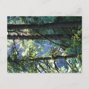 Uitzicht van Elowah Herfsten, Oregon Briefkaart