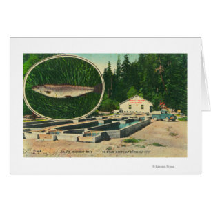 Uitzicht van forel Haven HatcheryGasquet, CA