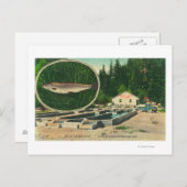 Uitzicht van forel Haven HatcheryGasquet, CA Briefkaart (Voorkant / Achterkant)