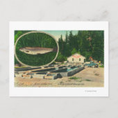 Uitzicht van forel Haven HatcheryGasquet, CA Briefkaart (Voorkant)