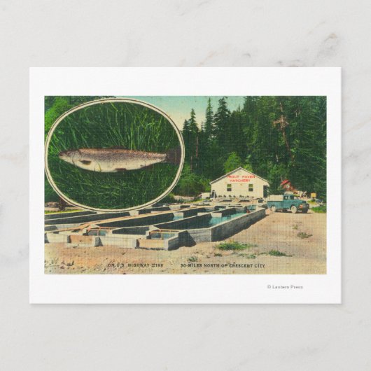 Uitzicht van forel Haven HatcheryGasquet, CA Briefkaart (Voorkant)
