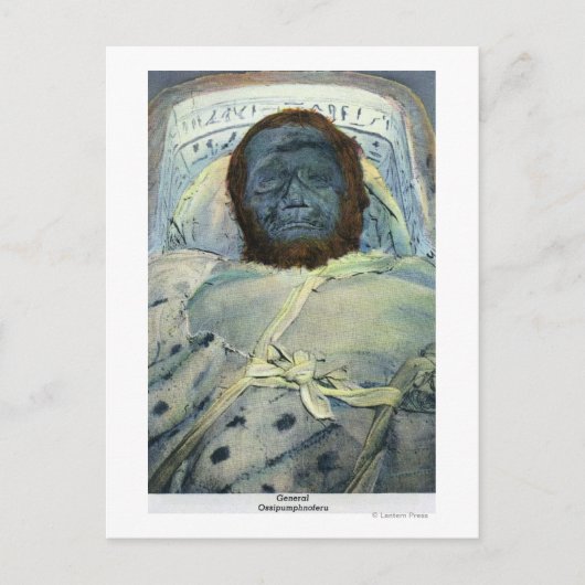 Uitzicht van General Ossipumphnoferu Mummy Briefkaart (Voorkant)