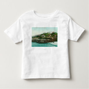 Uitzicht van gewassen en strand van de lucht te la kinder shirts