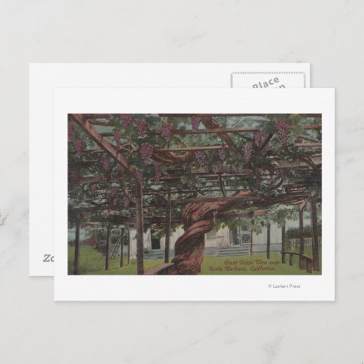 Uitzicht van gistdruiven briefkaart (Voorkant / Achterkant)