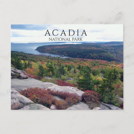 Uitzicht van Gorham Mountain Acadia National Park, Briefkaart (Voorkant)