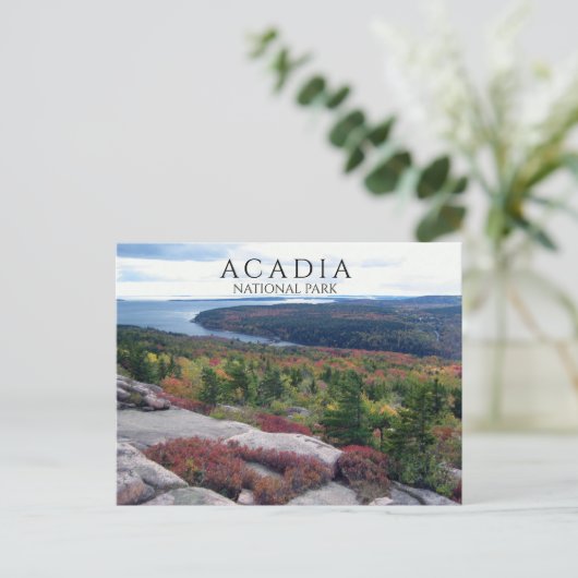 Uitzicht van Gorham Mountain Acadia National Park, Briefkaart (Staand voorkant)