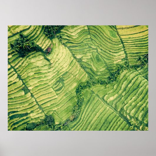 Uitzicht van groene grond poster (Voorkant)