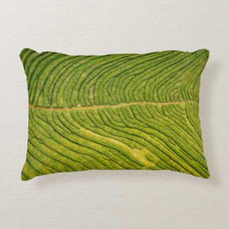 Uitzicht van groene open grond accent kussen