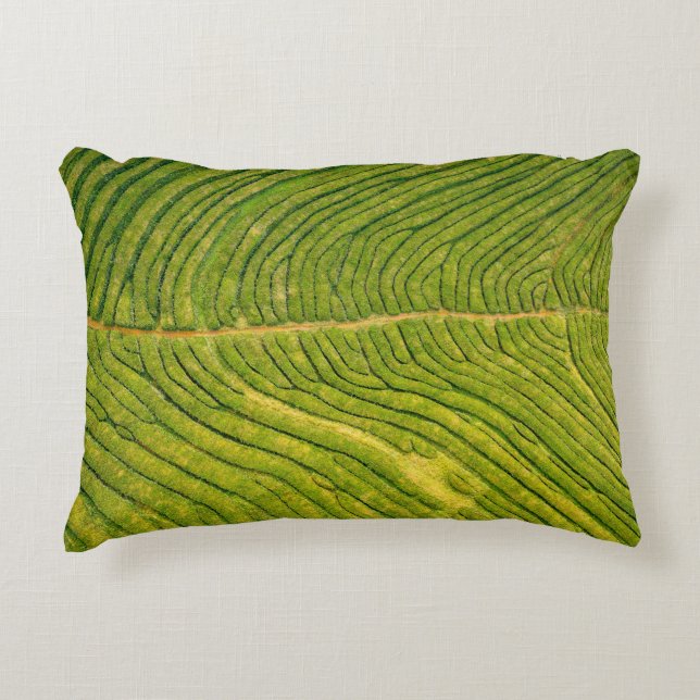 Uitzicht van groene open grond accent kussen (Voorkant)