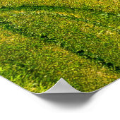 Uitzicht van groene open grond poster (Hoek)