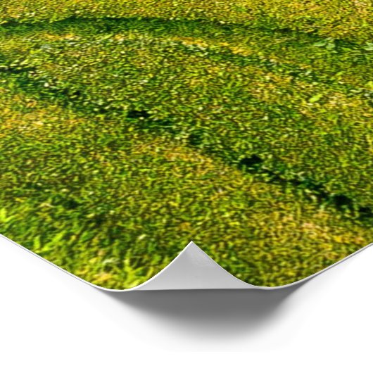 Uitzicht van groene open grond poster (Hoek)