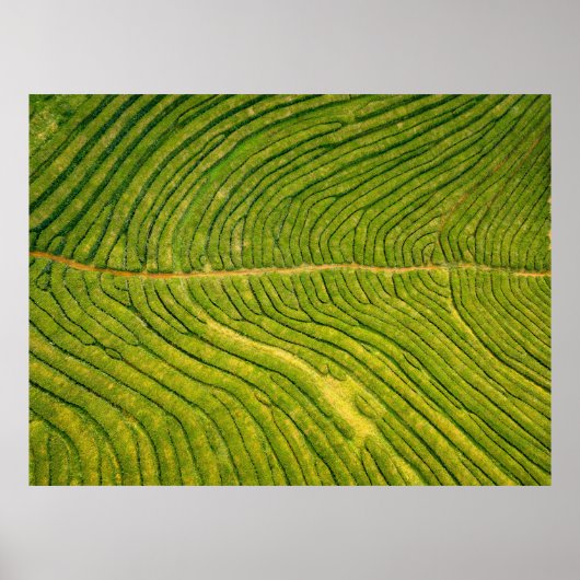 Uitzicht van groene open grond poster (Voorkant)