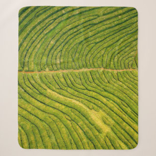 Uitzicht van groene open grond sherpa deken
