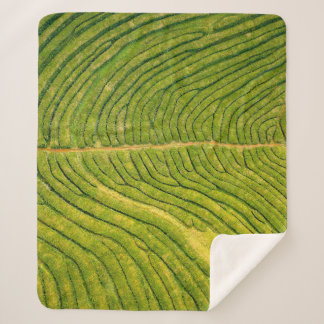 Uitzicht van groene open grond sherpa deken