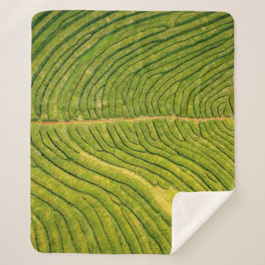 Uitzicht van groene open grond sherpa deken (Voorkant)