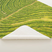Uitzicht van groene open grond sherpa deken (3/4)