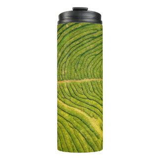 Uitzicht van groene open grond thermosbeker