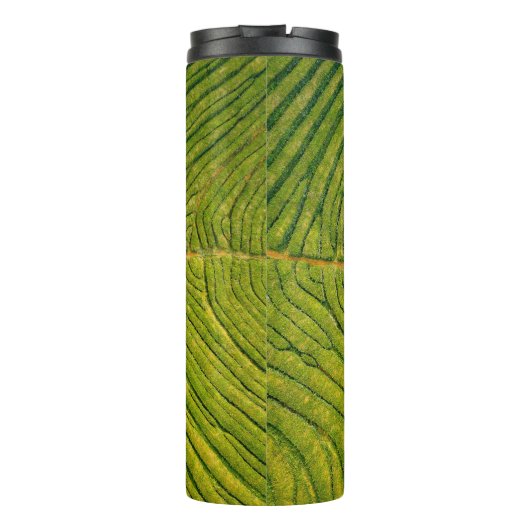 Uitzicht van groene open grond thermosbeker (Achterkant)