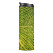 Uitzicht van groene open grond thermosbeker (Geroteerd rechts)